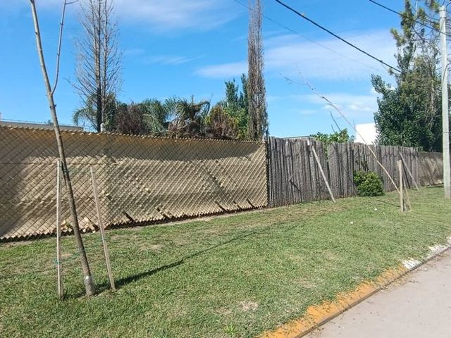 place photo 37