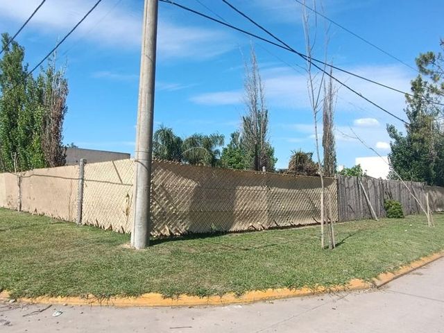 place photo 36