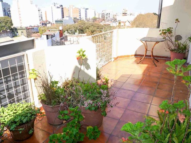 place photo 4