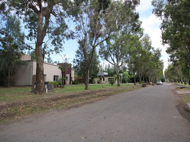 place photo 40