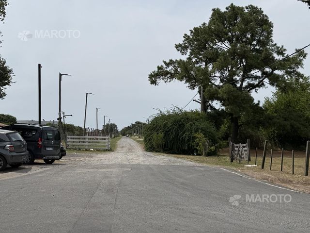 place photo 16