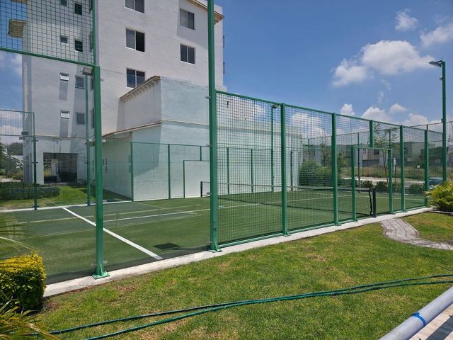 place photo 24