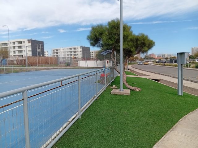 place photo 7