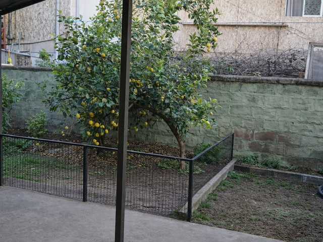 place photo 9