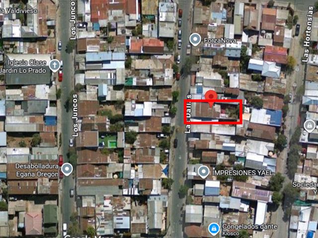place photo 16