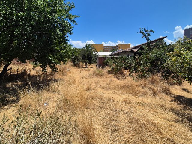 place photo 22