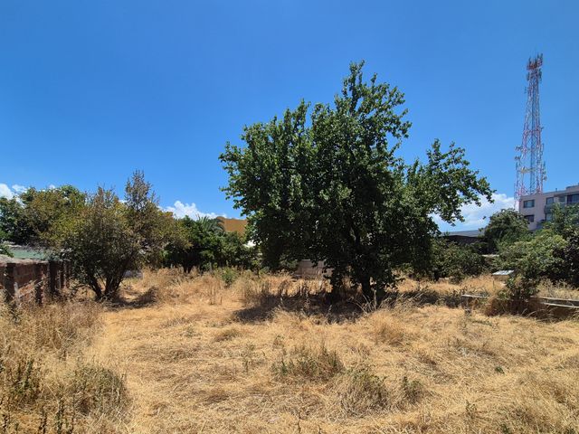 place photo 21