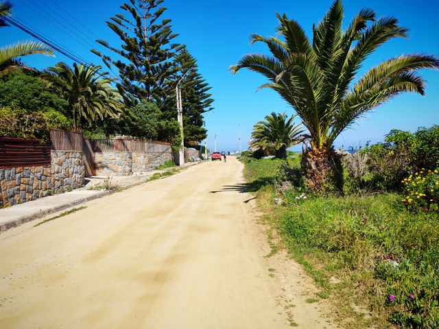 place photo 21