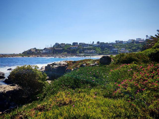 place photo 22