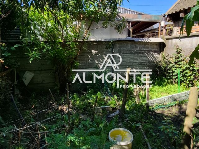 place photo 17