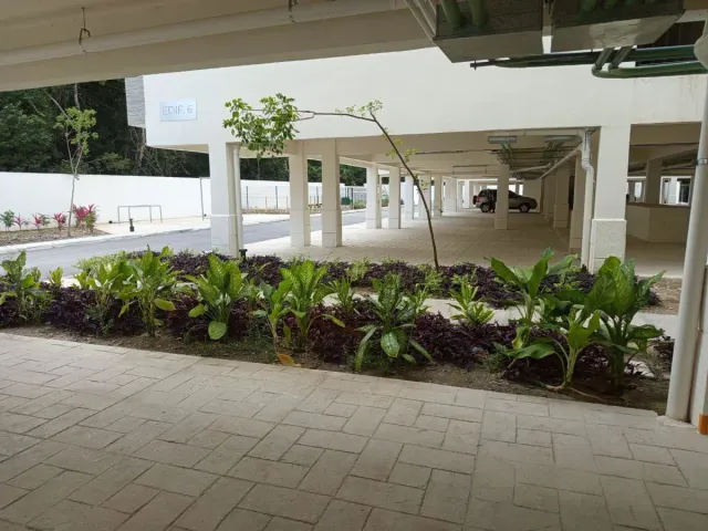 place photo 25
