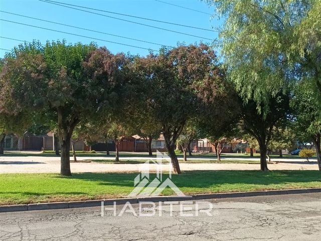 place photo 37