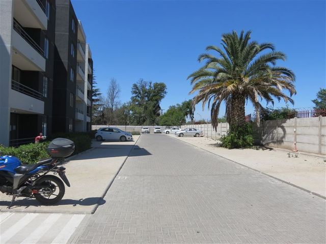 place photo 38