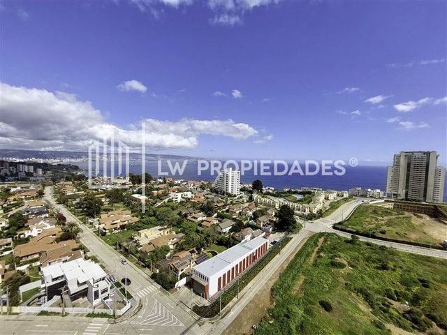 place photo 36