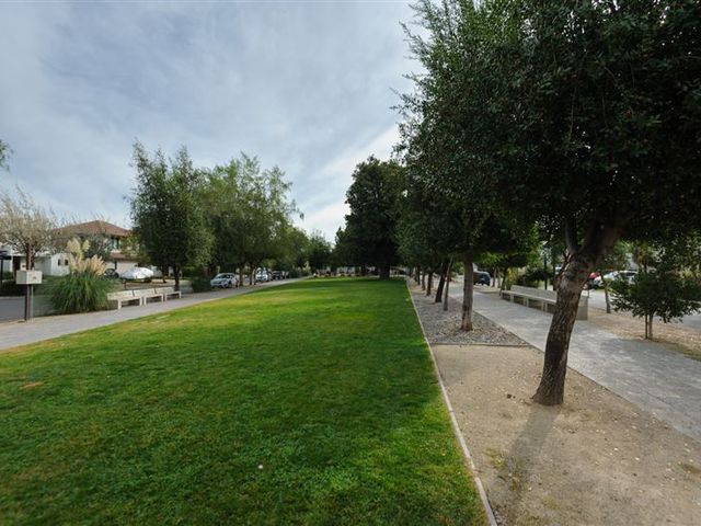 place photo 20