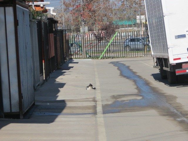 place photo 32