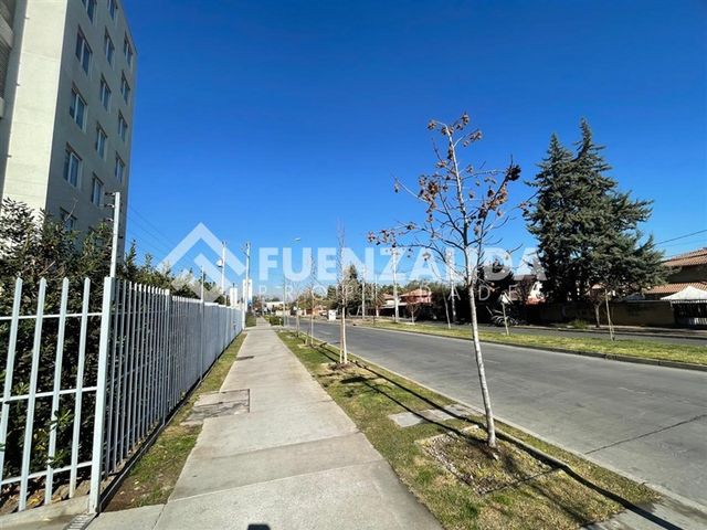 place photo 34