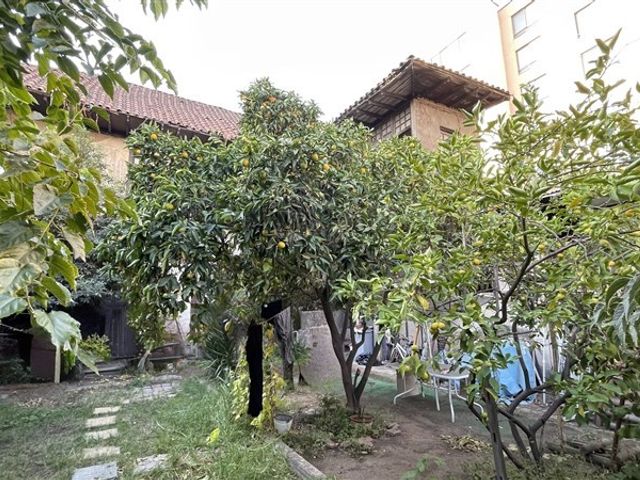 place photo 20
