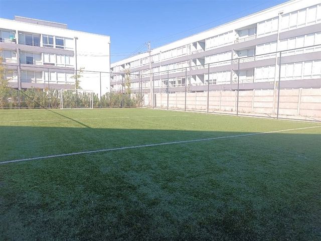 place photo 18
