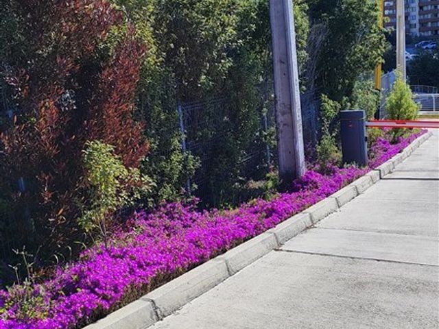 place photo 31
