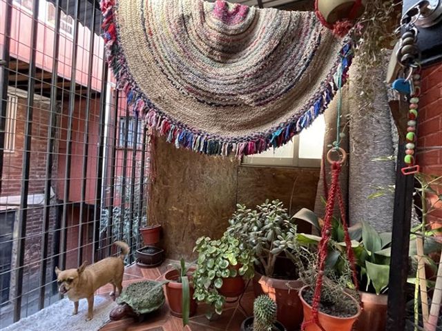 place photo 36