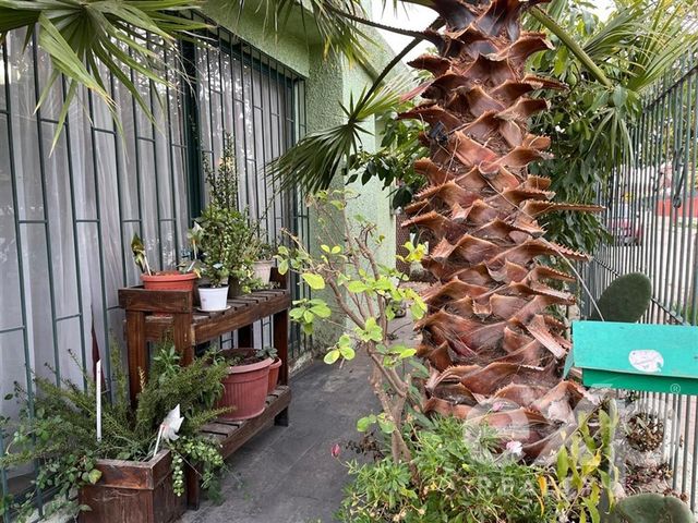 place photo 43
