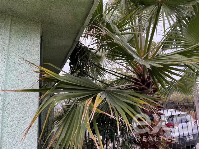 place photo 44