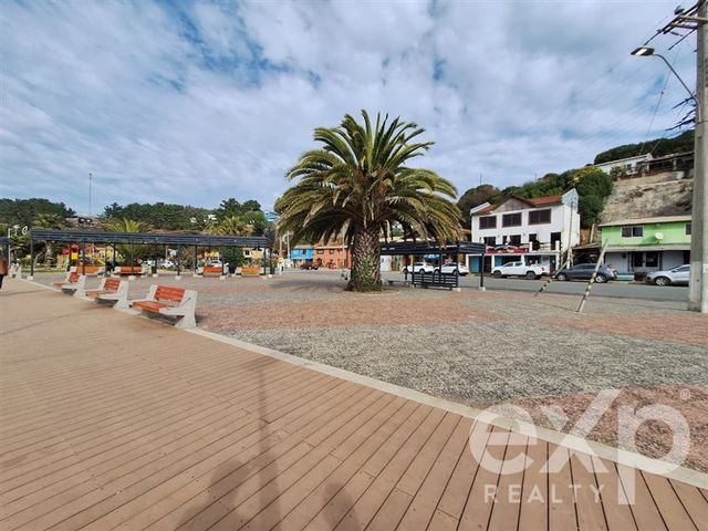 place photo 22