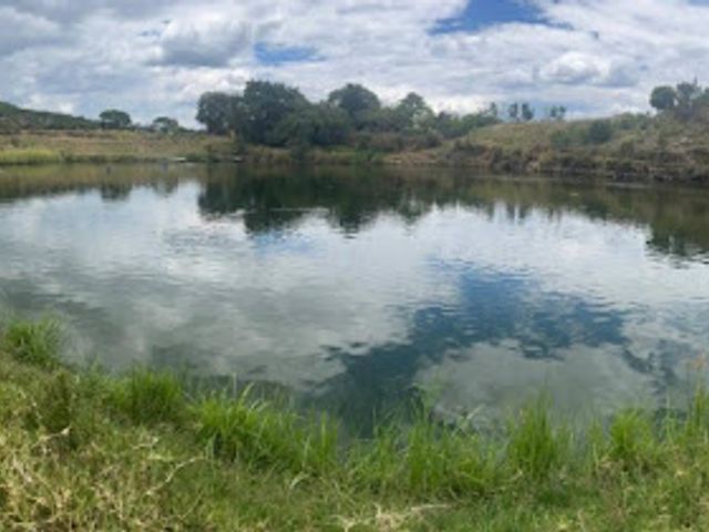 place photo 24