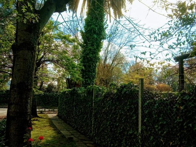 place photo 27