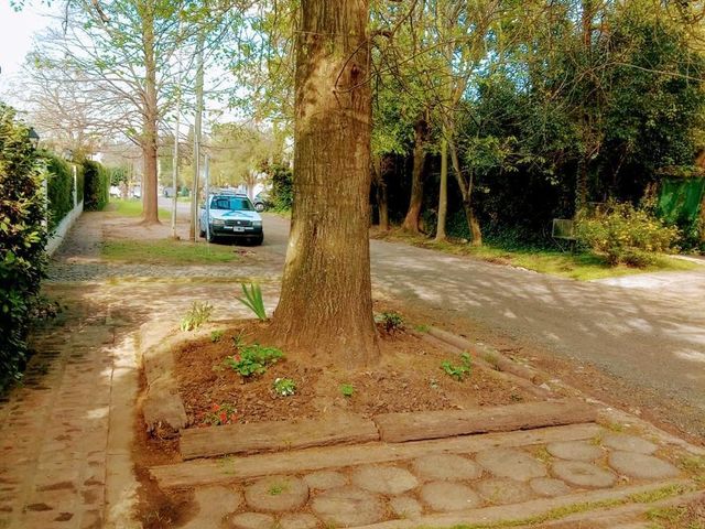 place photo 29