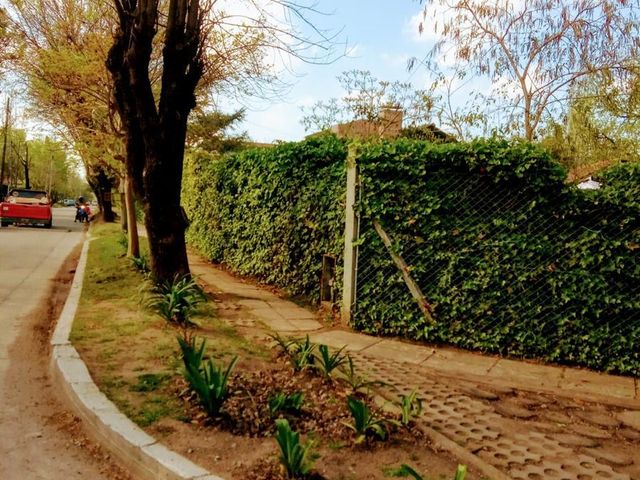 place photo 28