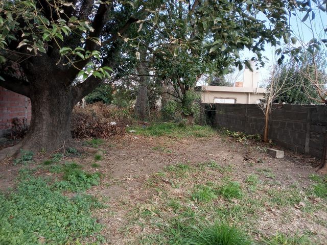 place photo 9
