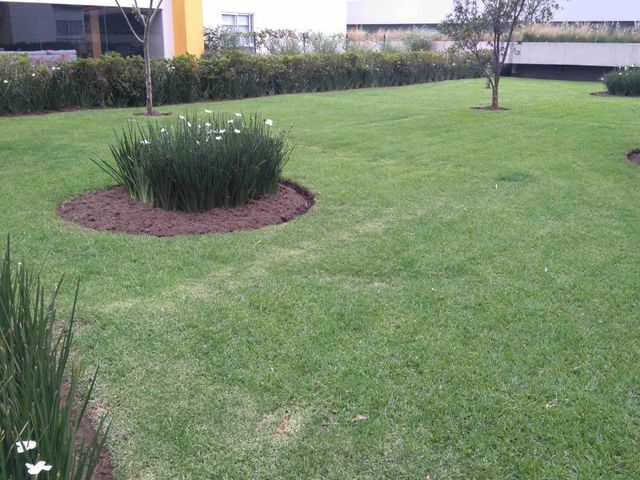 place photo 37