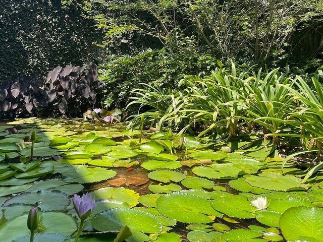 place photo 24