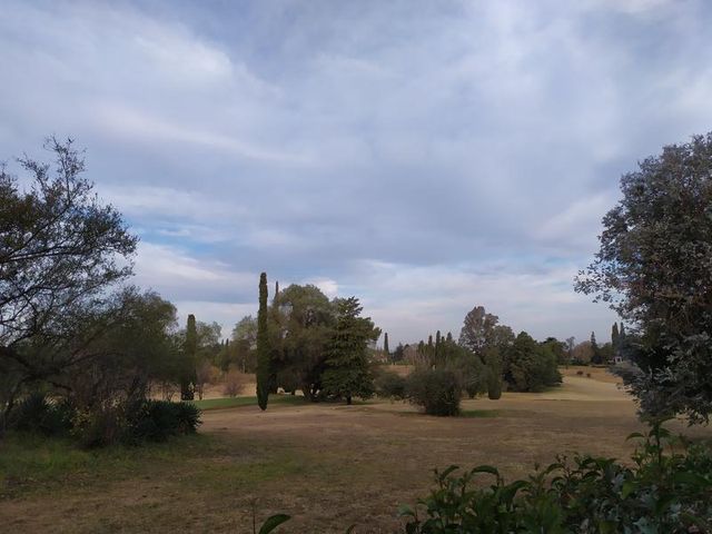 place photo 39