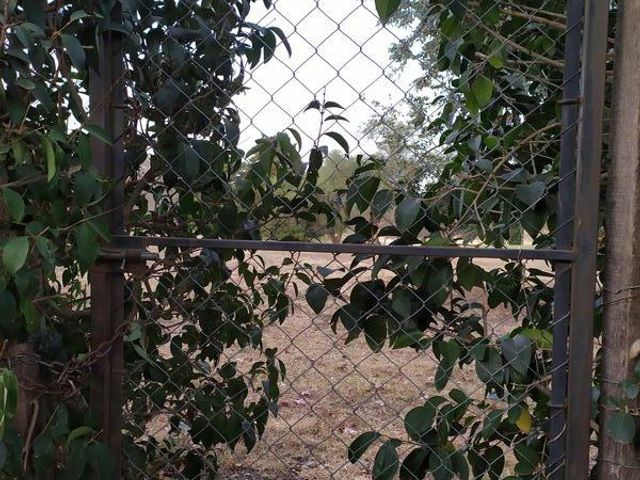 place photo 40