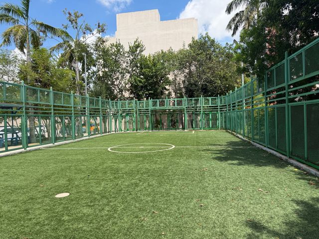 place photo 39