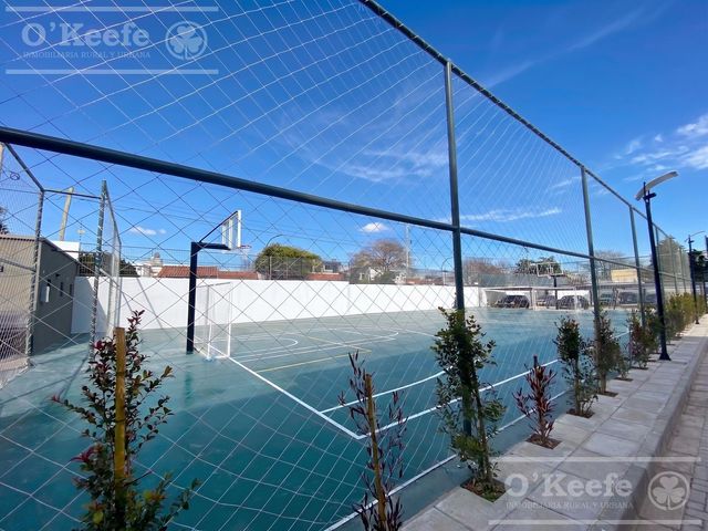 place photo 17