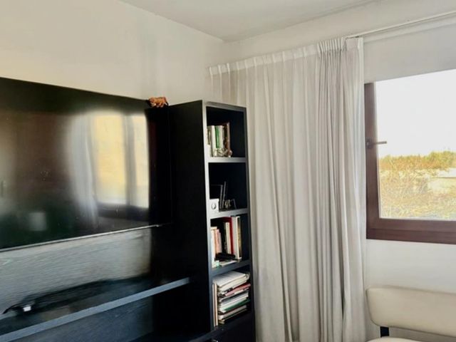 place photo 36