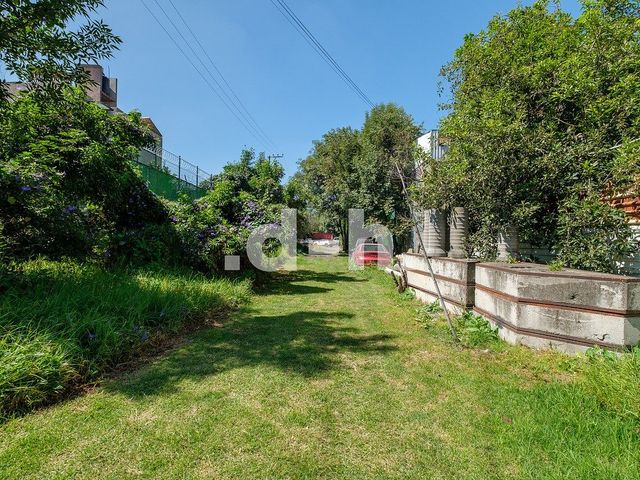 place photo 25