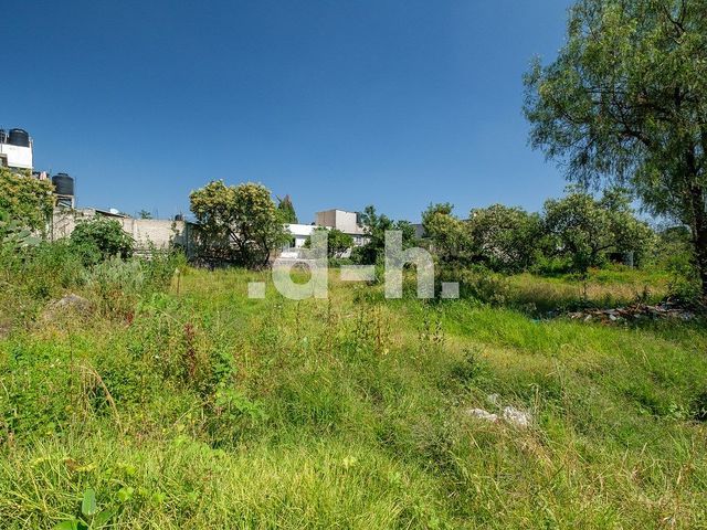 place photo 30
