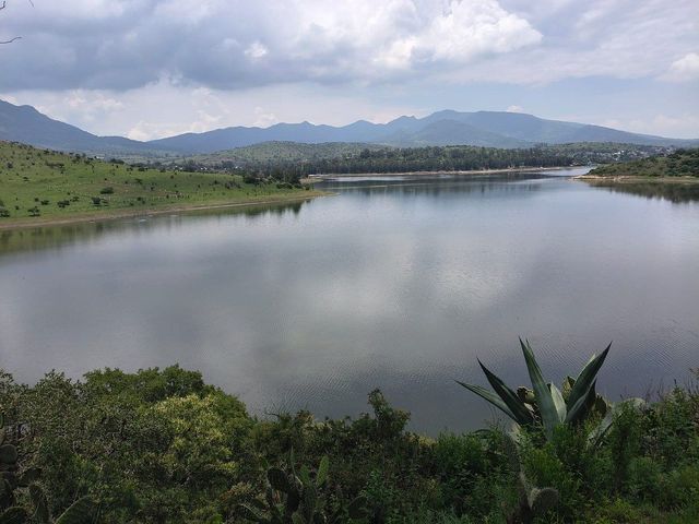 place photo 16