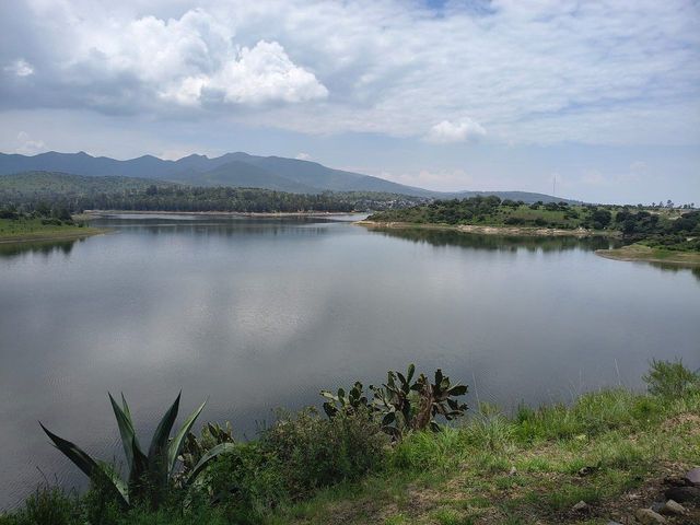 place photo 17