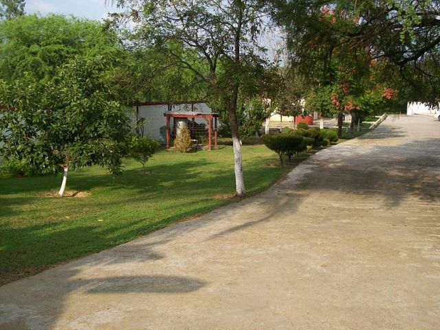 place photo 8