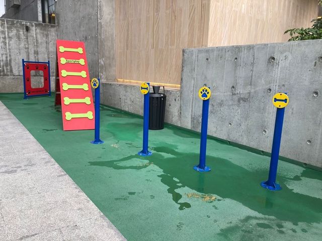 place photo 27