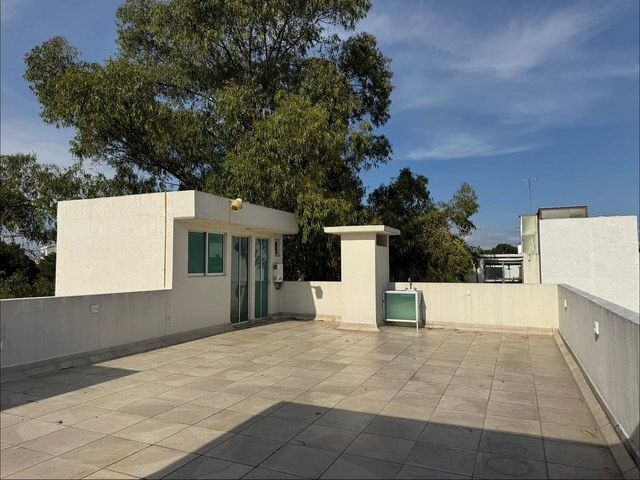 place photo 40