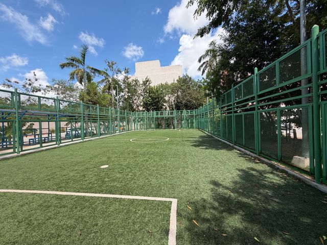 place photo 31