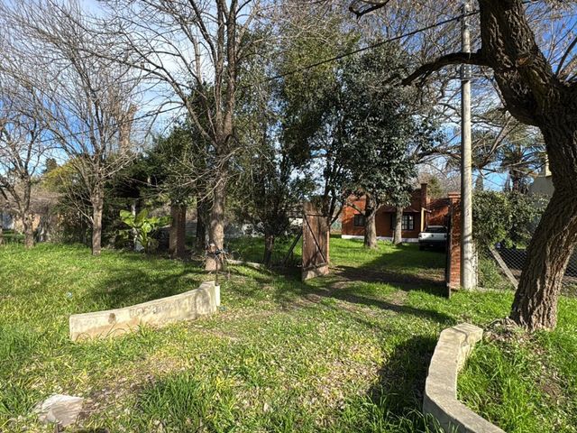 place photo 17