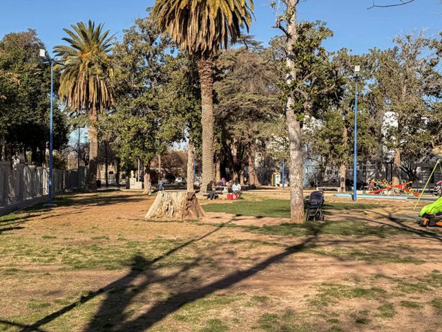 place photo 15